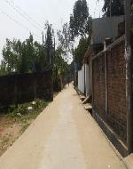 20161018_162449 (764) - Copy (Custom)